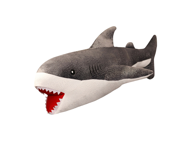 鯊魚(yu)